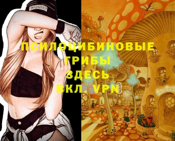 скорость Лиски