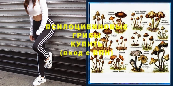 дурь Березники