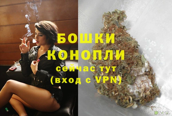 не бодяженный Магас